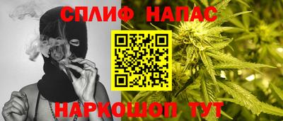 apvp Братск
