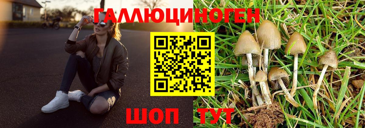 Галлюциногенные грибы мухоморы  Вход с VPN  Гудермес 