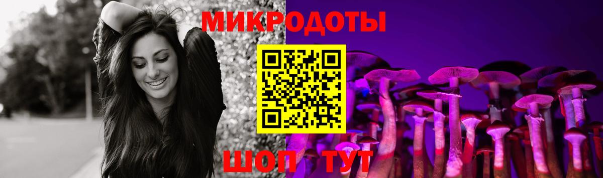 Галлюциногенные грибы GOLDEN TEACHER Гудермес